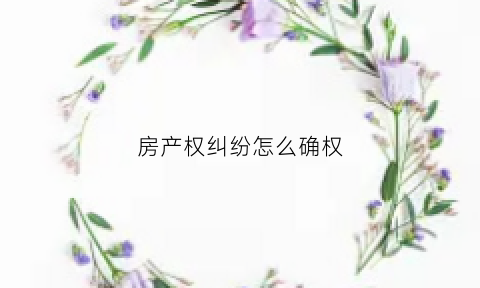 房产权纠纷怎么确权(房产纠纷确权案)