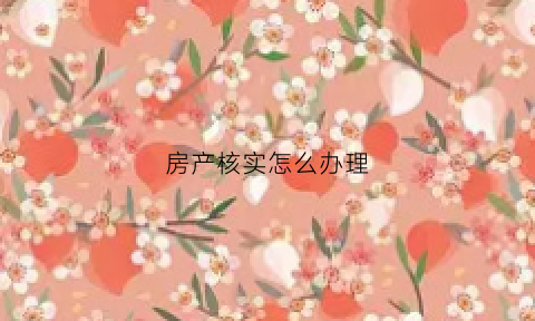 房产核实怎么办理(房产核实怎么办理手续)