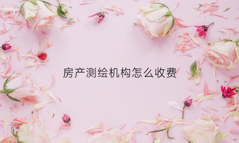 房产测绘机构怎么收费(房产测绘机构怎么收费的)