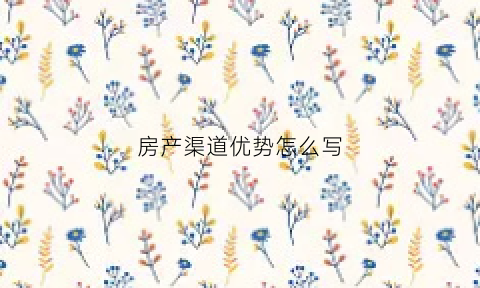 房产渠道优势怎么写(房产渠道有前景吗)