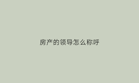 房产的领导怎么称呼(房地产领导有哪些级别)