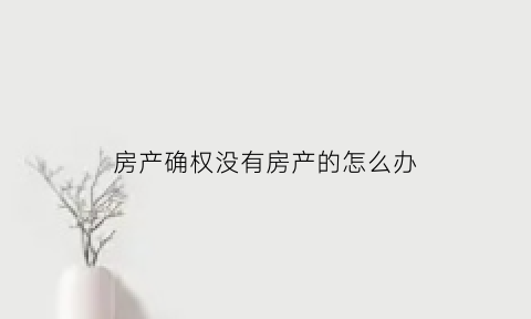 房产确权没有房产的怎么办(房产证没有确权是什么意思)