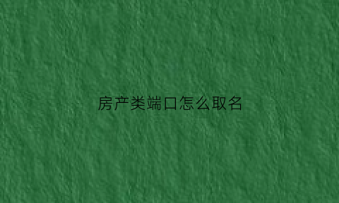 房产类端口怎么取名(现在房产网络端口哪个效果好)