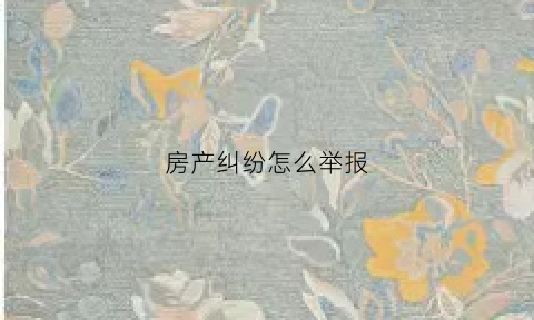 房产纠纷怎么举报(房产纠纷问题去哪里投诉)