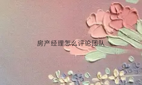 房产经理怎么评论团队(房产经理如何带团队)