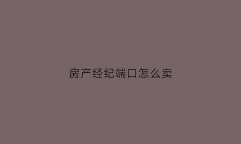 房产经纪端口怎么卖(房产经纪人端口怎么开)