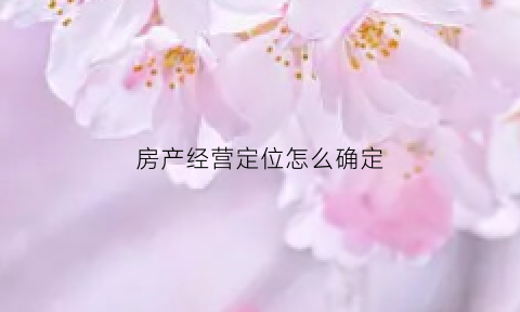 房产经营定位怎么确定(房地产项目经营定位)