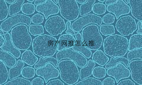 房产网推怎么推(地产网推公司干什么的)