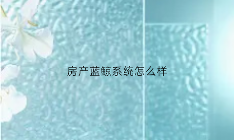 房产蓝鲸系统怎么样(蓝鲸中介)