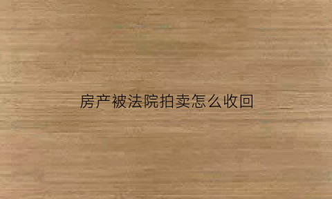 房产被法院拍卖怎么收回(房子被法院拍卖了我可以要回房子吗)