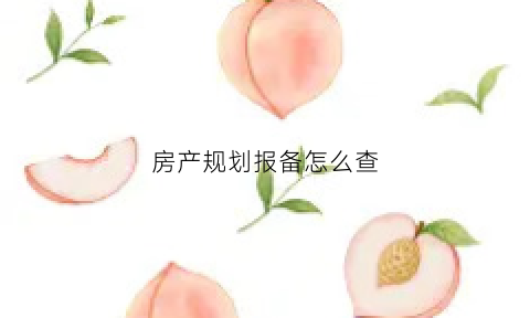 房产规划报备怎么查(房地产报备系统)