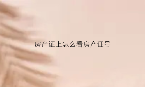 房产证上怎么看房产证号(怎样看房产证号)