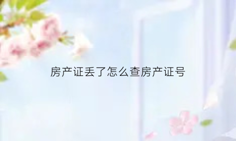 房产证丢了怎么查房产证号(房产证丢了怎么查询编号)