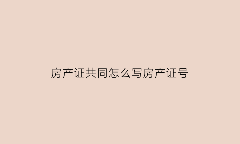 房产证共同怎么写房产证号(房产证写共同共有怎么分配)