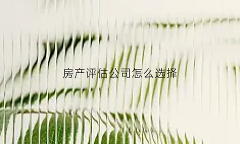 房产评估公司怎么选择(房产评估公司怎么选择的)
