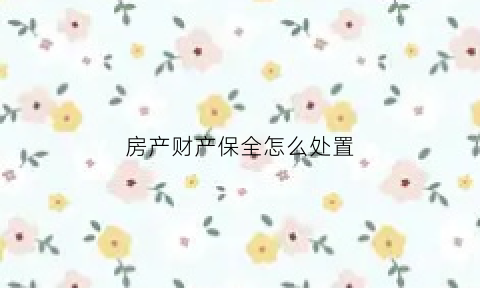 房产财产保全怎么处置(房产财产保全)