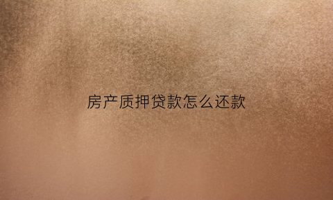 房产质押贷款怎么还款(房产质押贷款怎么还款的)