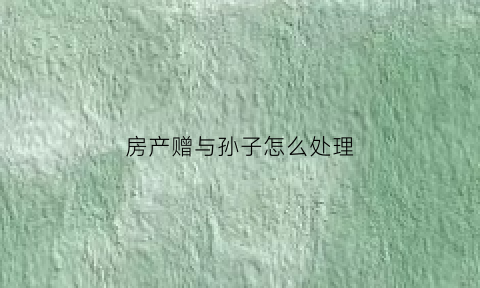 房产赠与孙子怎么处理(房屋赠与孙子怎么办)