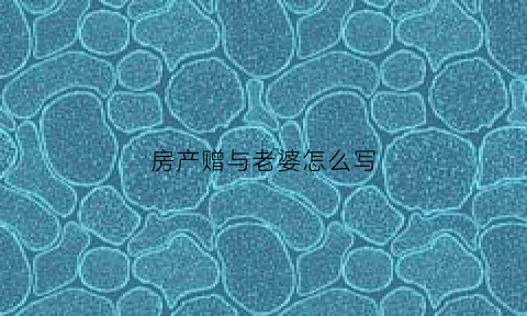 房产赠与老婆怎么写(房产赠与老婆怎么写协议书)