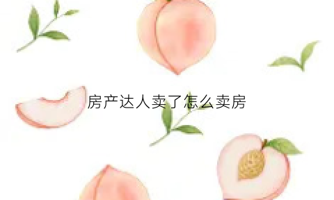 房产达人卖了怎么卖房(房产达人房子卖完了怎么办)
