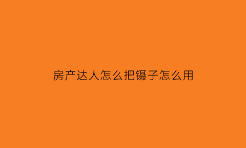 房产达人怎么把镊子怎么用(房产达人怎么拿出锤子手机版)