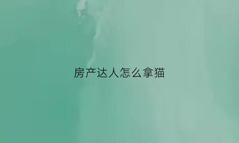 房产达人怎么拿猫(手机版房产达人怎么买宠物)