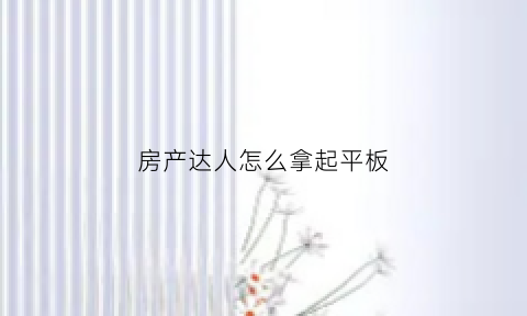 房产达人怎么拿起平板(房产达人平板电脑在哪里打开)