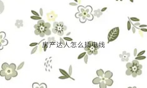 房产达人怎么插电线(房产达人怎么进门)