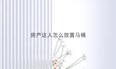 房产达人怎么放置马桶(房产达人马桶怎么装)