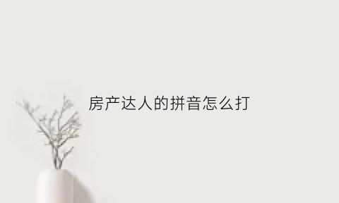 房产达人的拼音怎么打(房产达人官方下载)