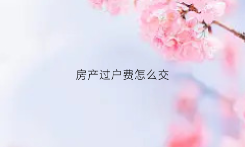 房产过户费怎么交(房产过户费怎么交的)