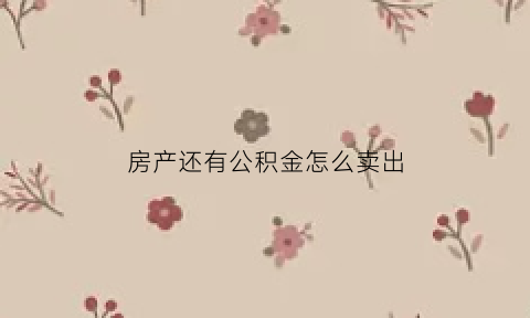 房产还有公积金怎么卖出(房子还有公积金贷款怎么卖)