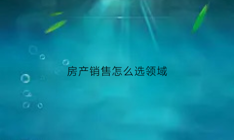 房产销售怎么选领域(房产销售怎么选领域呢)