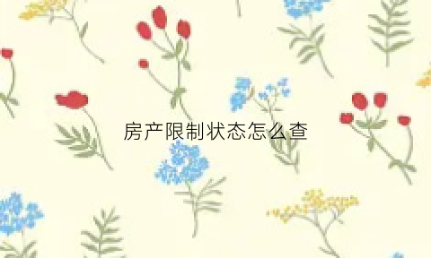 房产限制状态怎么查(房屋限制状态)