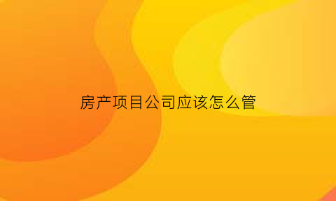 房产项目公司应该怎么管(房产公司怎么管理)