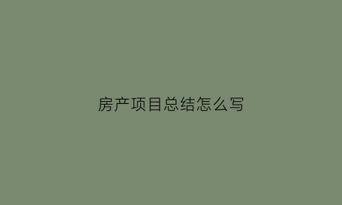 房产项目总结怎么写(房产项目概况范文)