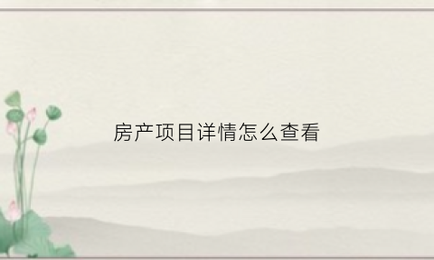 房产项目详情怎么查看(房产项目描述怎么写)
