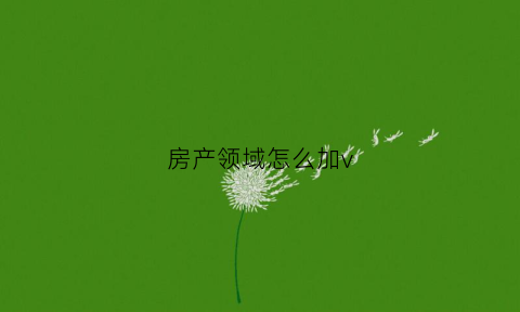 房产领域怎么加v(怎么在房产上添加名字)