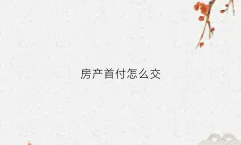 房产首付怎么交(房屋首付怎么支付)