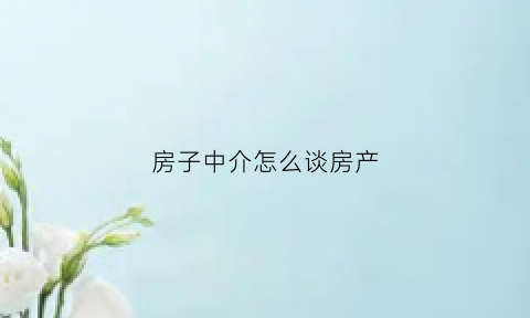 房子中介怎么谈房产(中介怎么和房主谈房价)