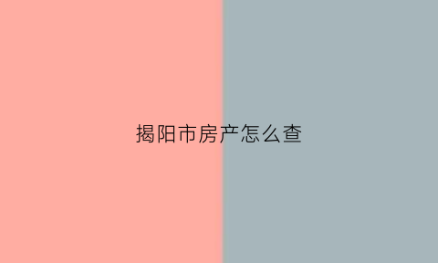 揭阳市房产怎么查