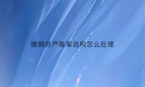 撤销房产备案逃税怎么处理(撤销房产备案流程需要多长时间)