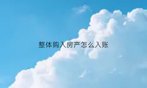 整体购入房产怎么入账(整体出售)