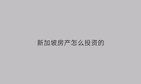 新加坡房产怎么投资的(新加坡房产在大陆的失败)