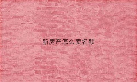 新房产怎么卖名额(新房子怎么卖)
