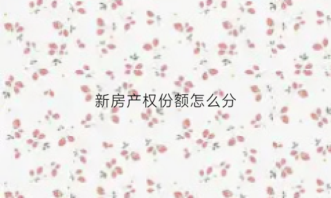 新房产权份额怎么分(新买房产权怎么算)