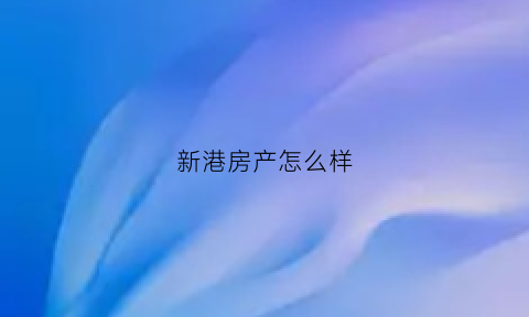 新港房产怎么样(新港房子)