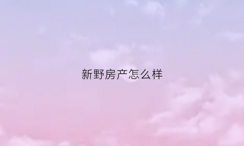 新野房产怎么样(新野口碑好的房地产)