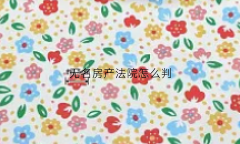 无名房产法院怎么判(无名房产法院怎么判的)