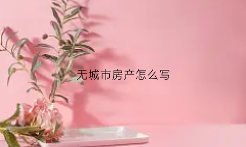 无城市房产怎么写(城区无房产是什么意思)